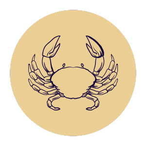 Krebs