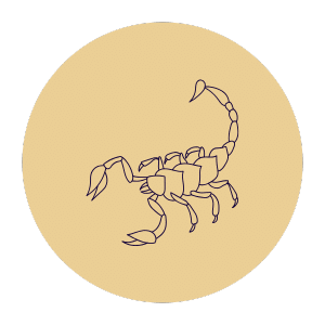 Skorpion