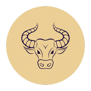 Stier